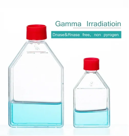 cell culture flask T75