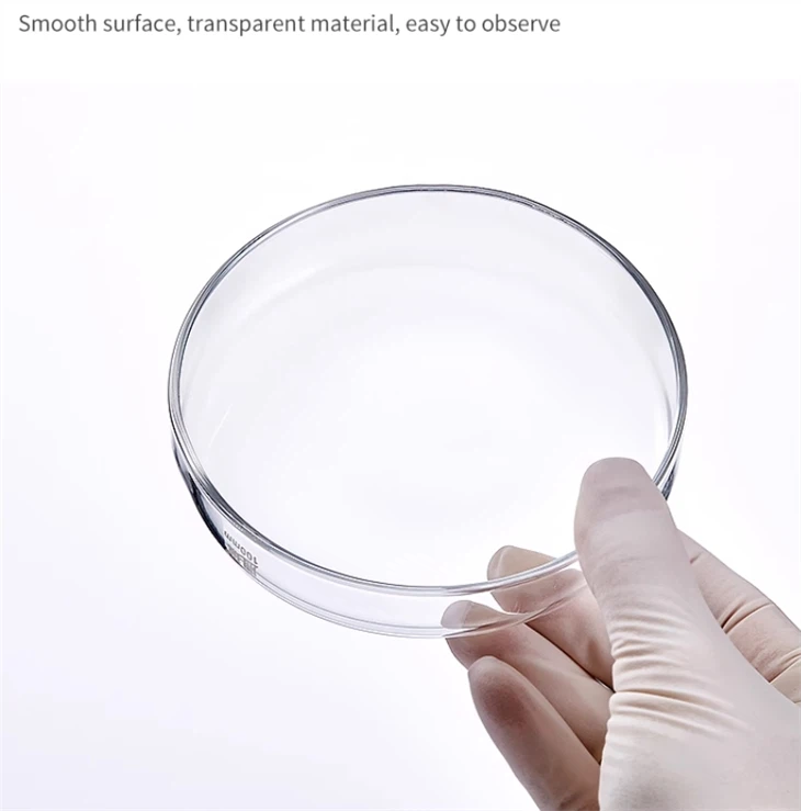 Lab Glassware 60/75/90/100/120/150mm Borosilicate Glass Cell Culture Dish Glass Petri Dish