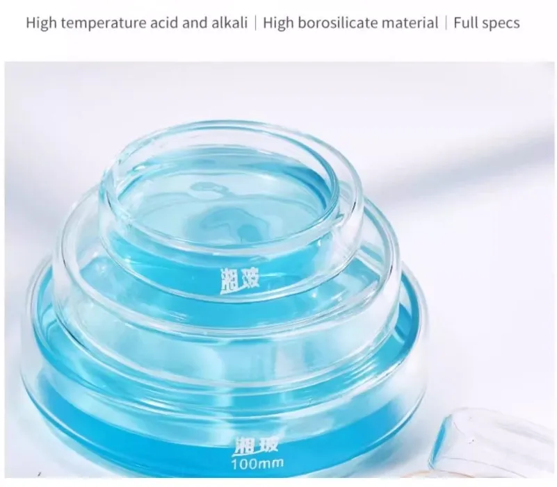 Glass petri dish 1 Glass petri dish 1